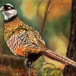 La promenade du faisan